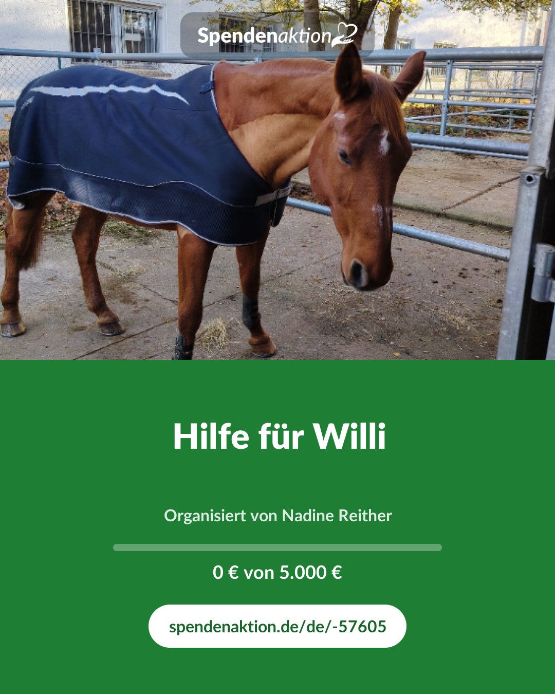 Vorschau des Bildes