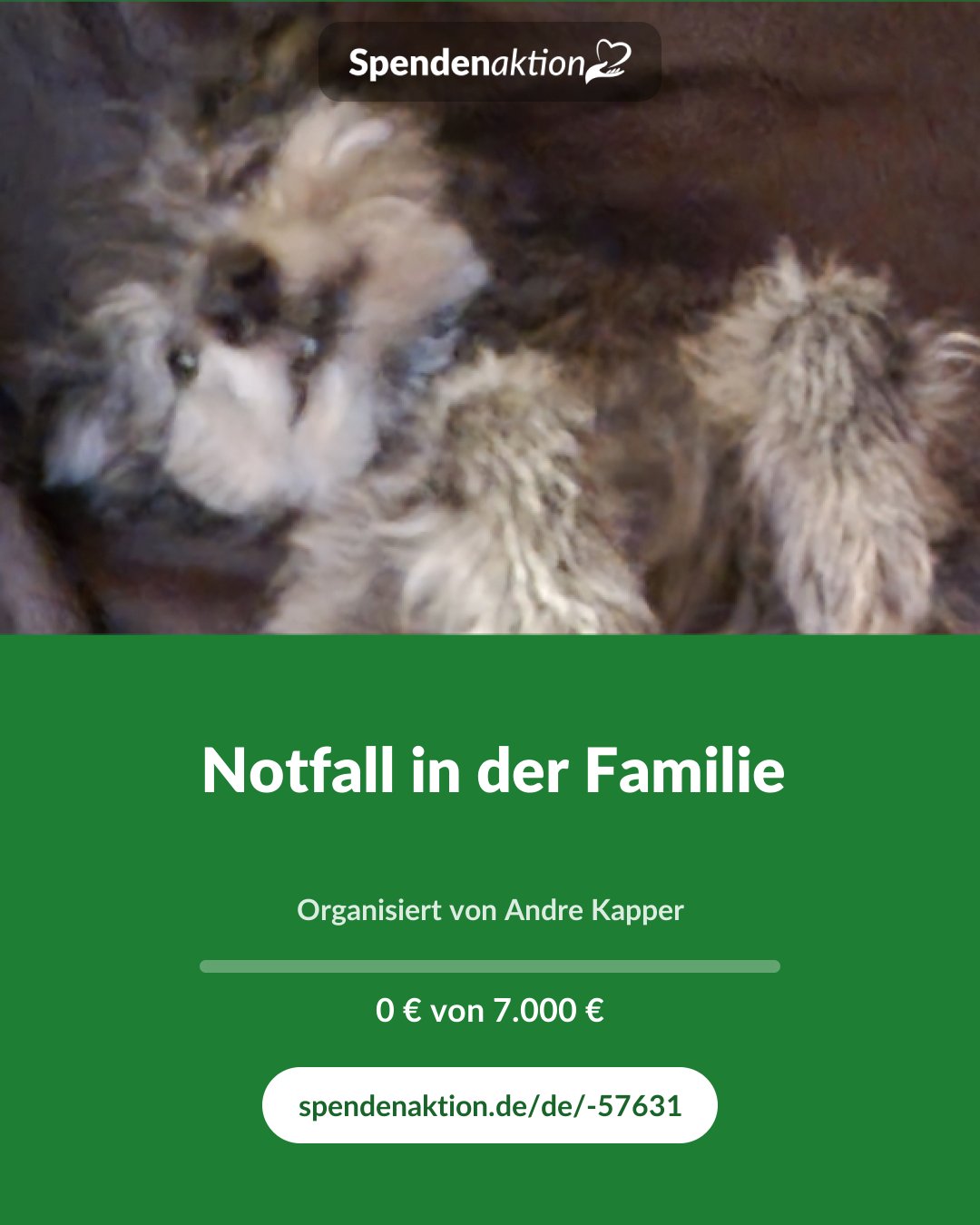 Vorschau des Bildes