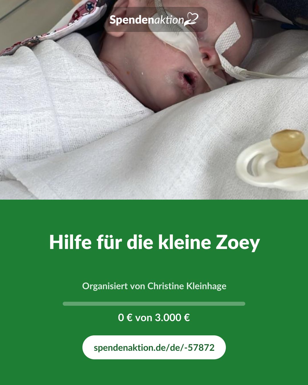Vorschau des Bildes