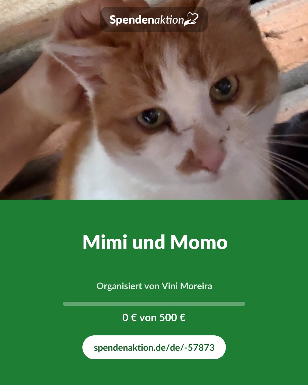 Vorschau des Bildes