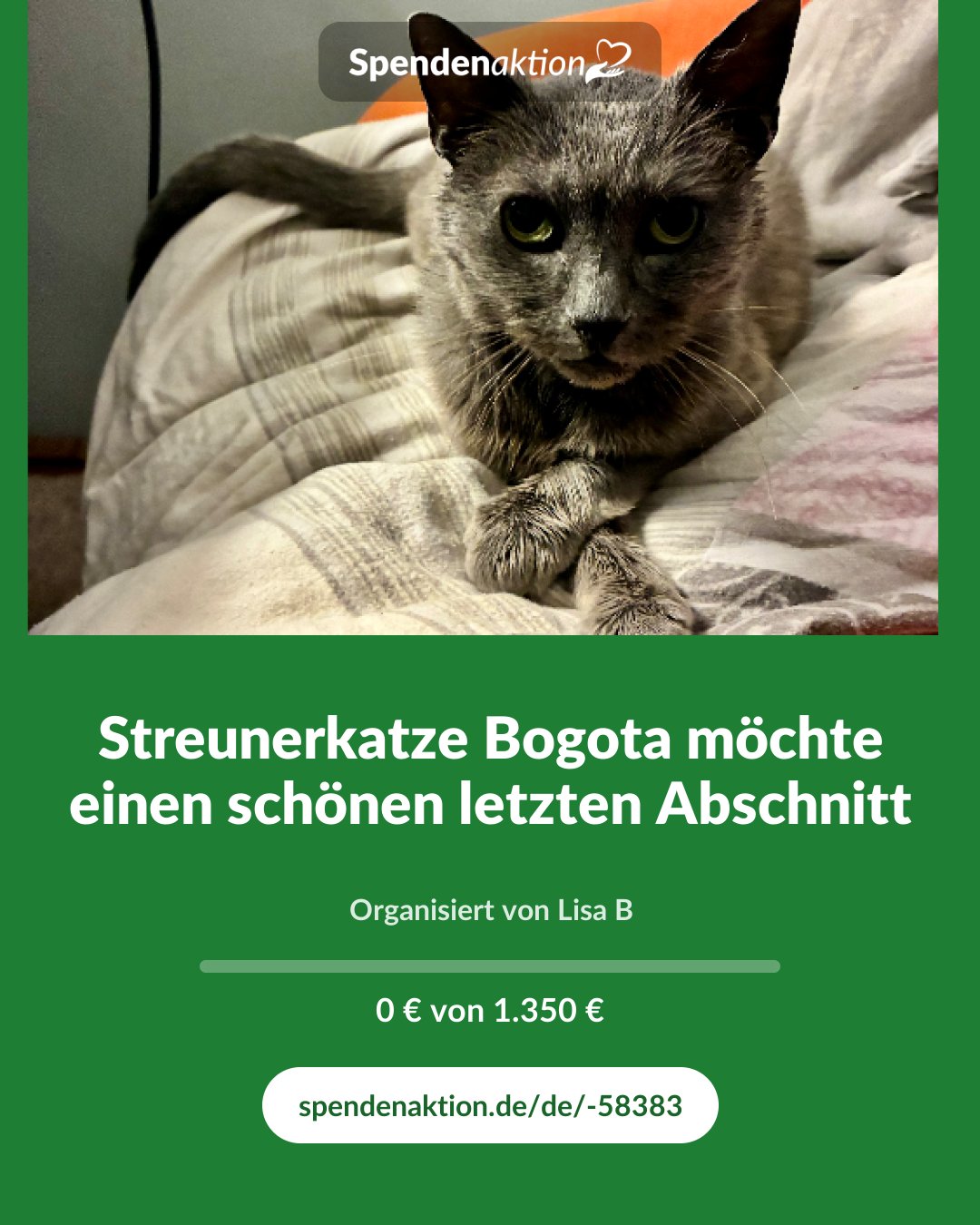 Vorschau des Bildes