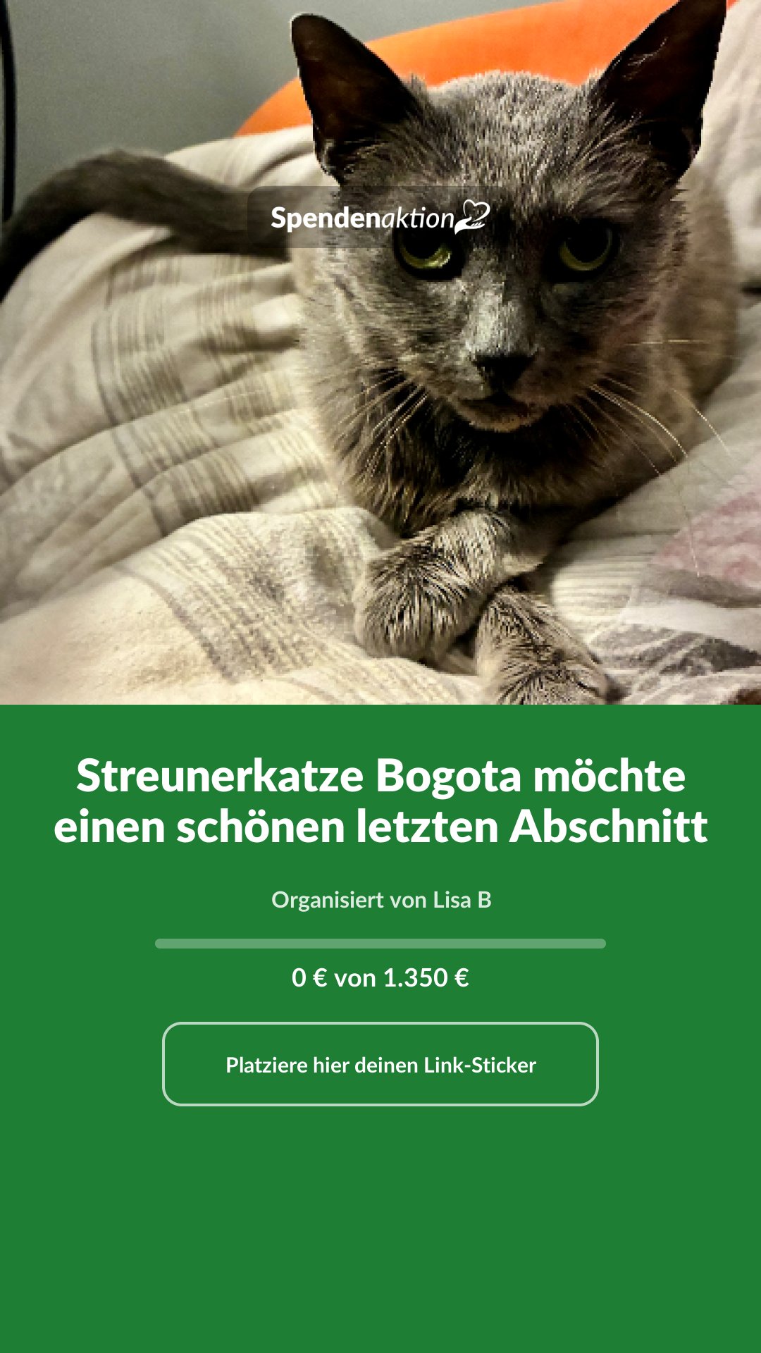 Vorschau des Bildes
