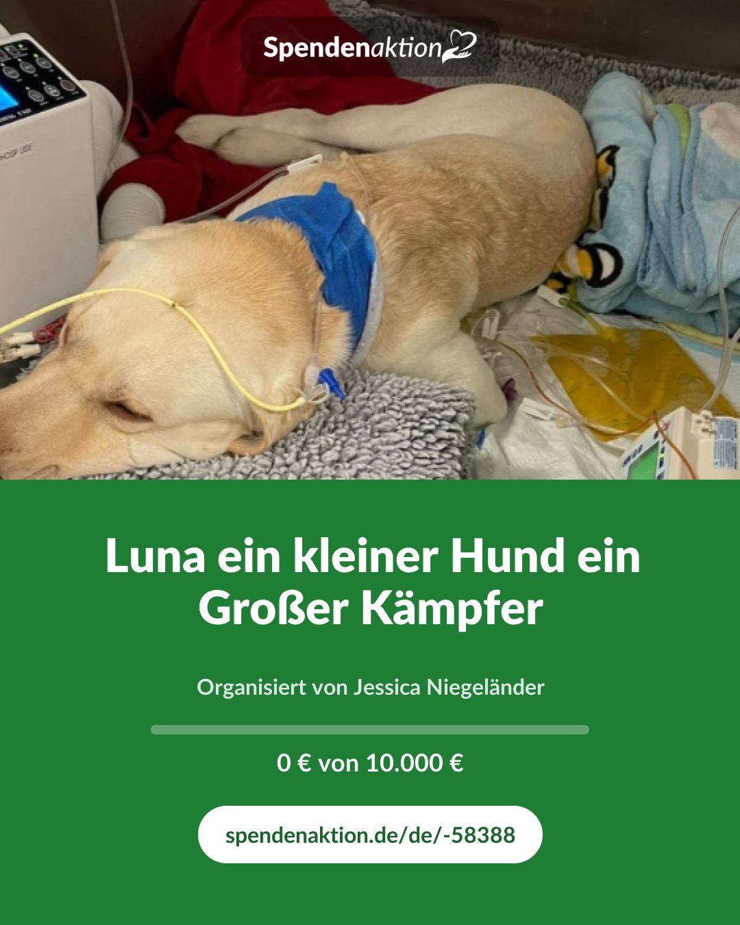 Vorschau des Bildes