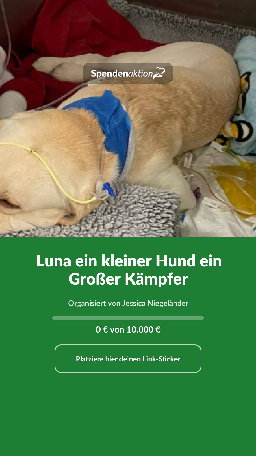 Vorschau des Bildes