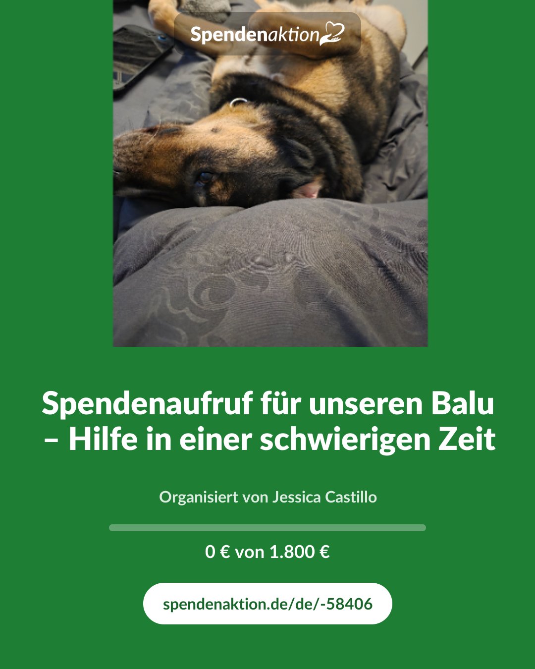 Vorschau des Bildes