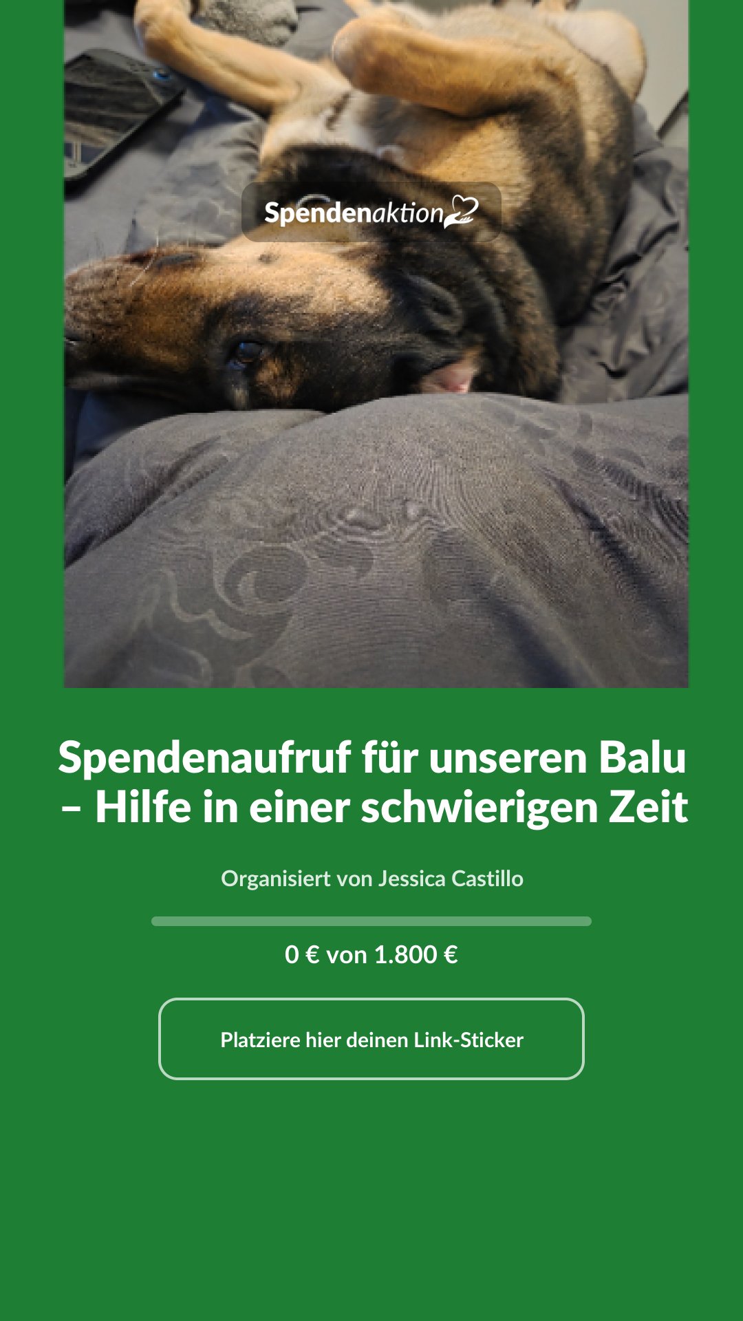Vorschau des Bildes