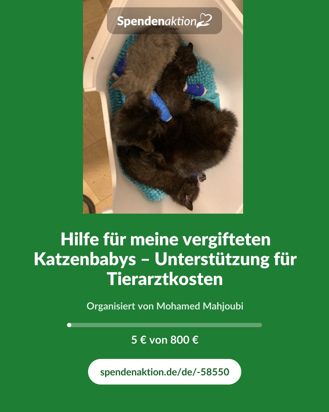 Vorschau des Bildes