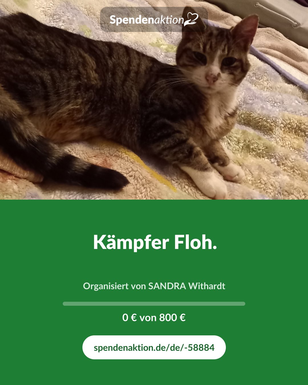 Vorschau des Bildes