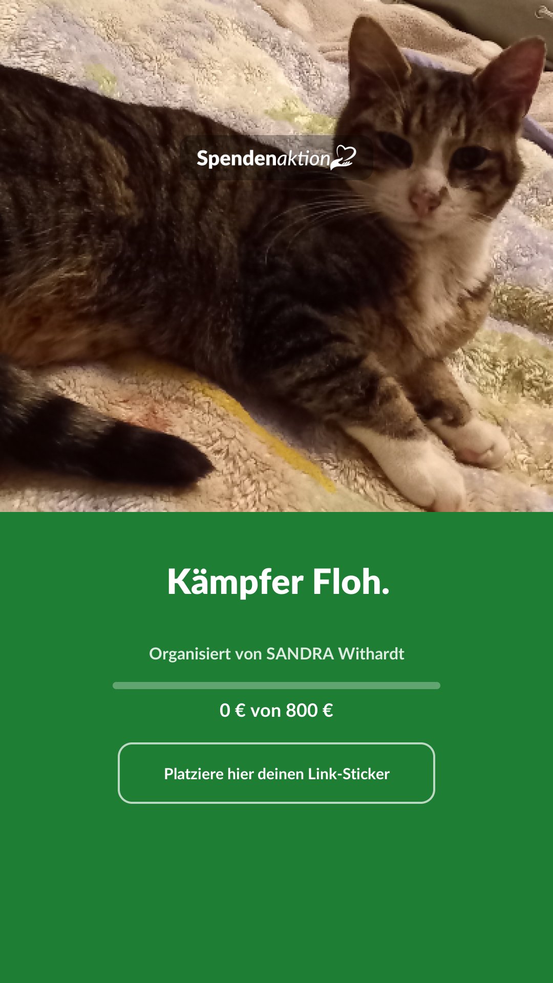 Vorschau des Bildes