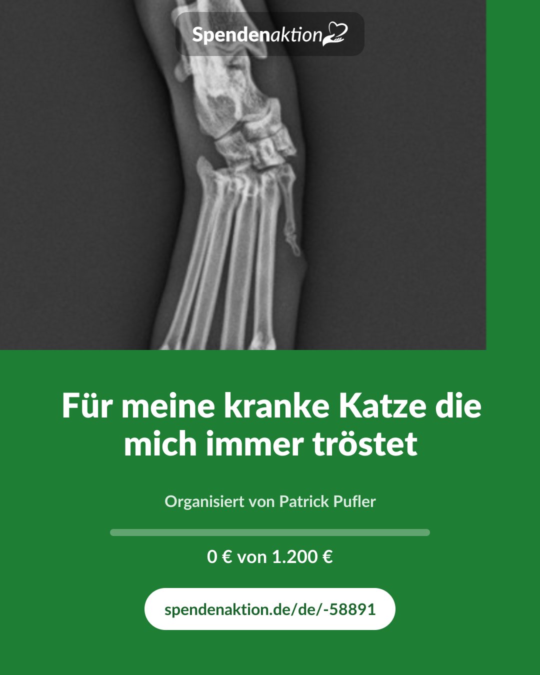 Vorschau des Bildes