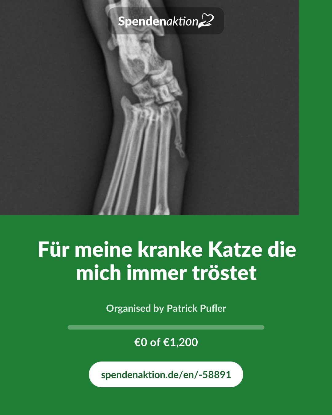 Preview of the image