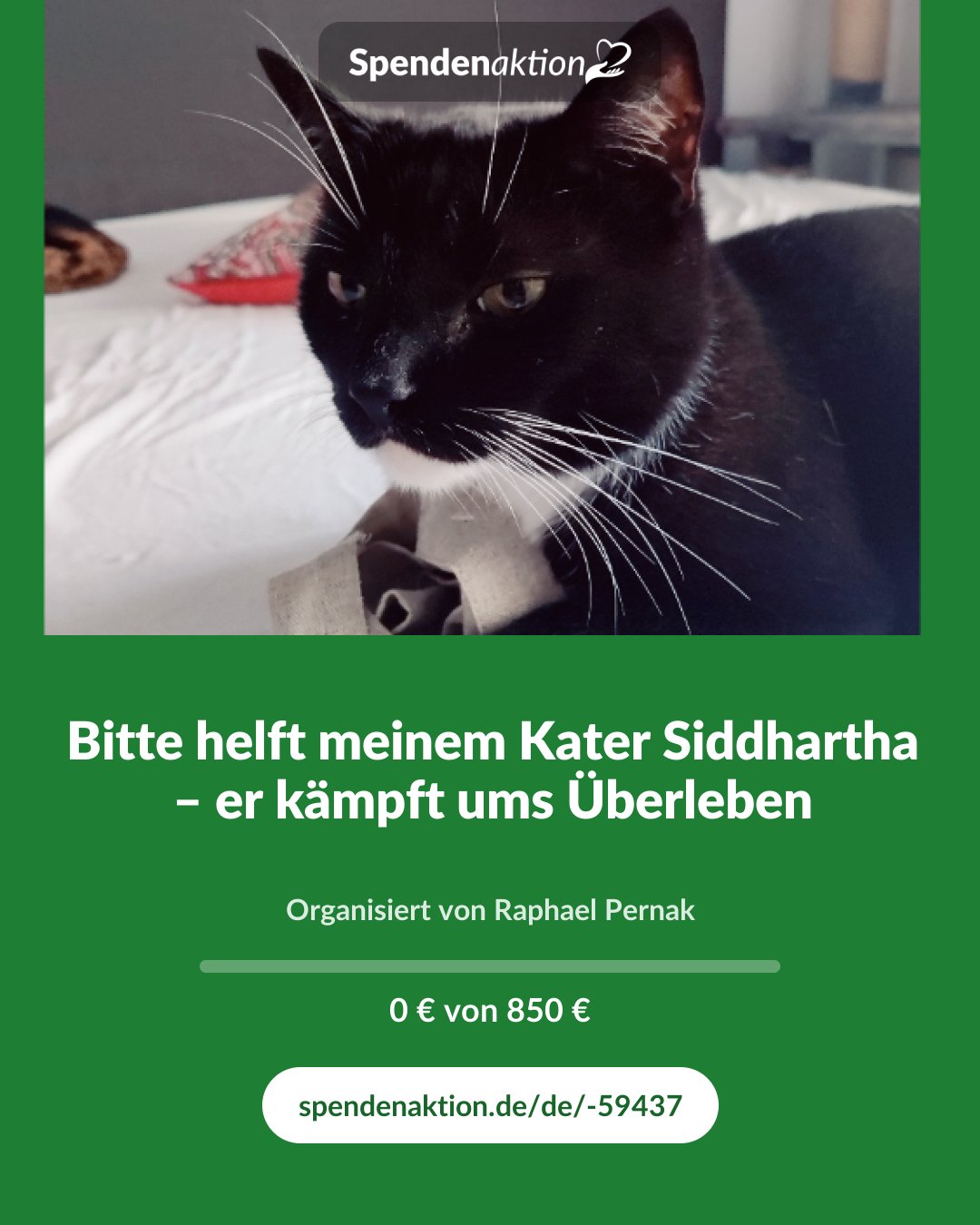 Vorschau des Bildes