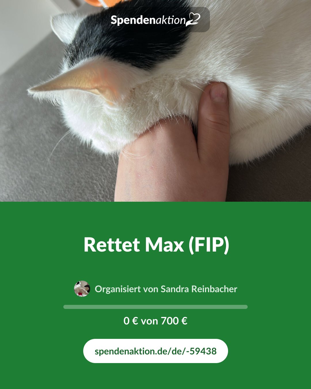 Vorschau des Bildes