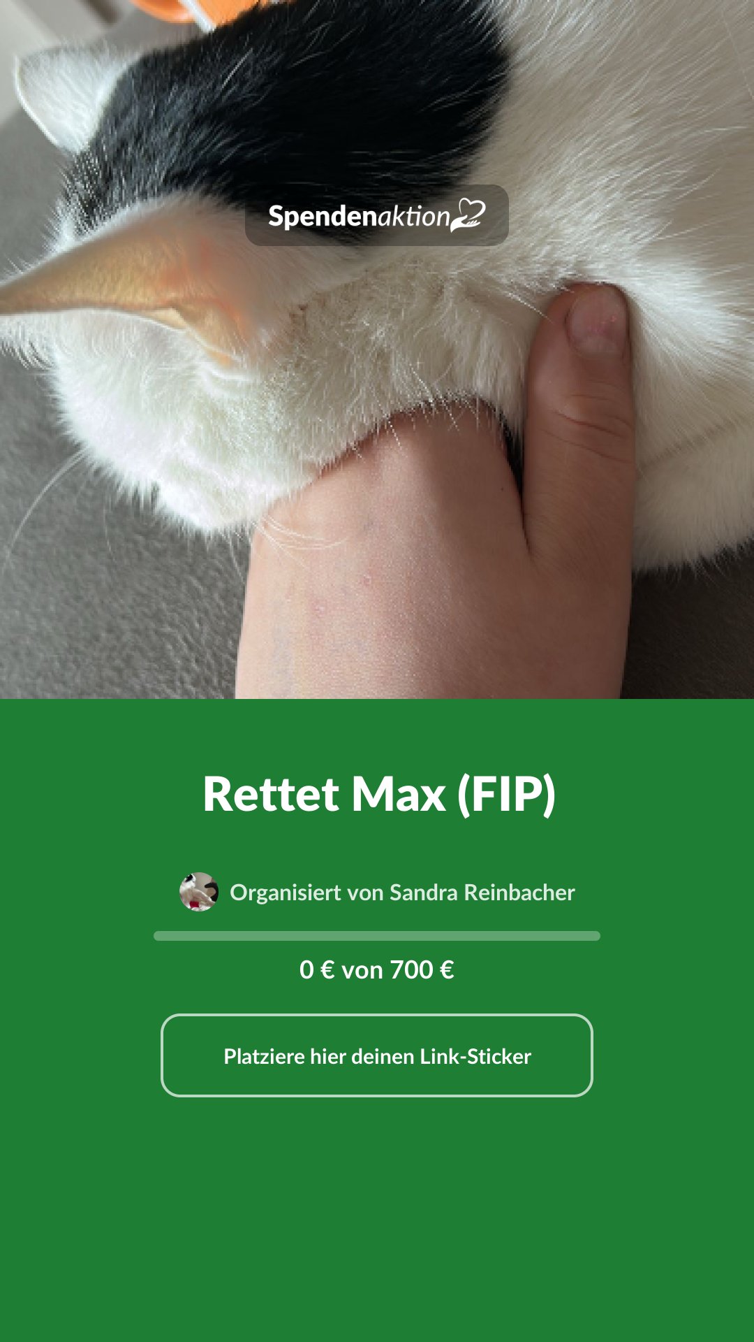 Vorschau des Bildes