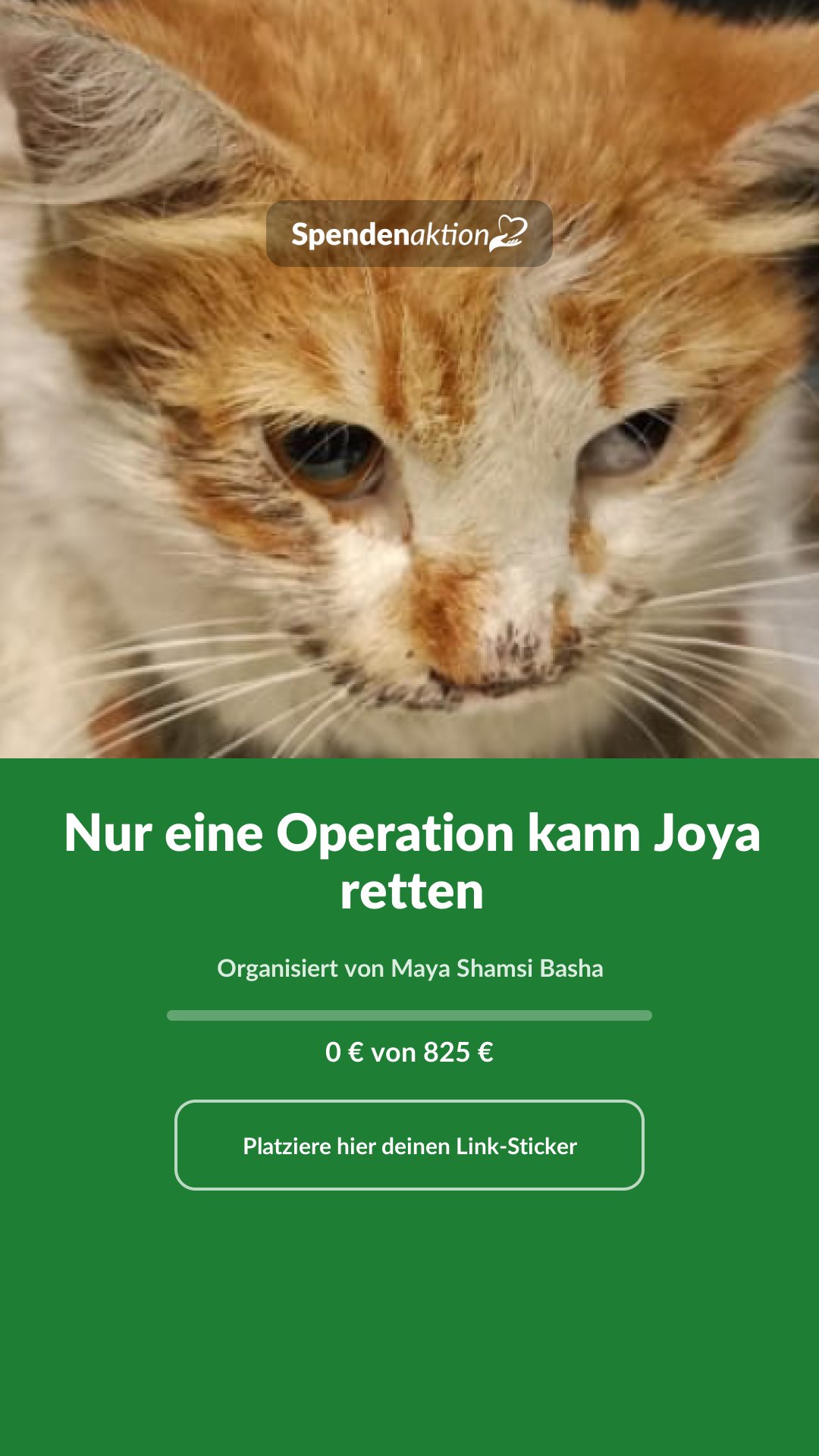 Vorschau des Bildes