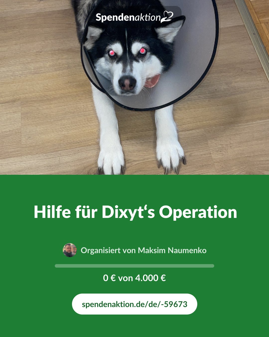 Vorschau des Bildes