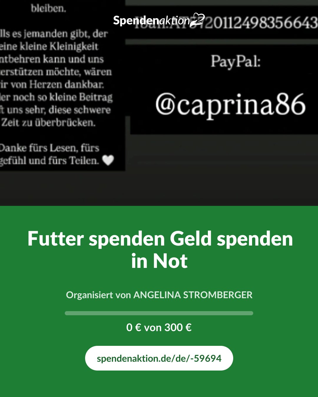 Vorschau des Bildes