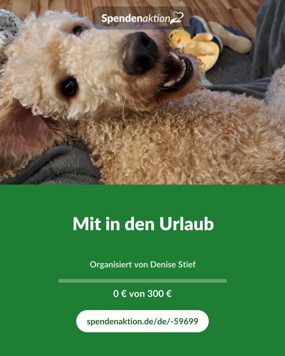 Vorschau des Bildes