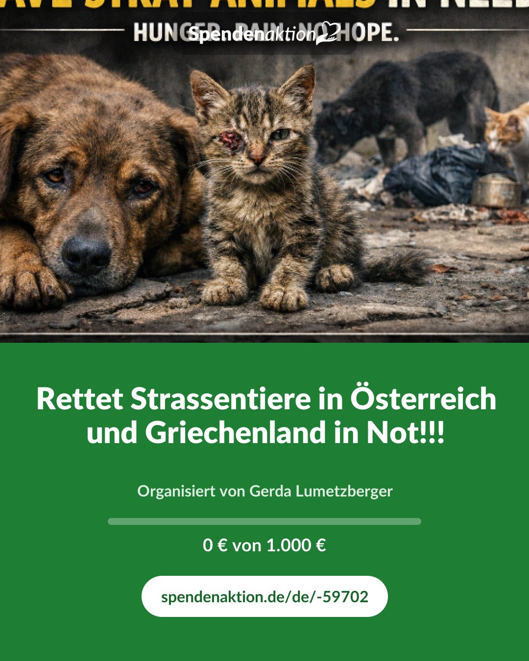 Vorschau des Bildes