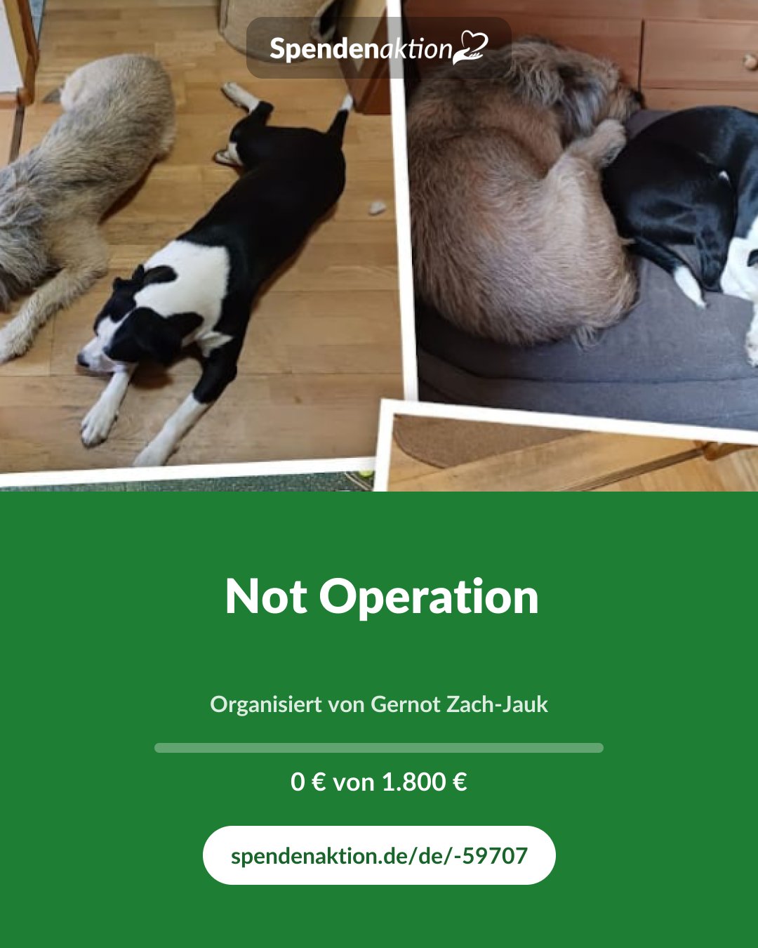 Vorschau des Bildes