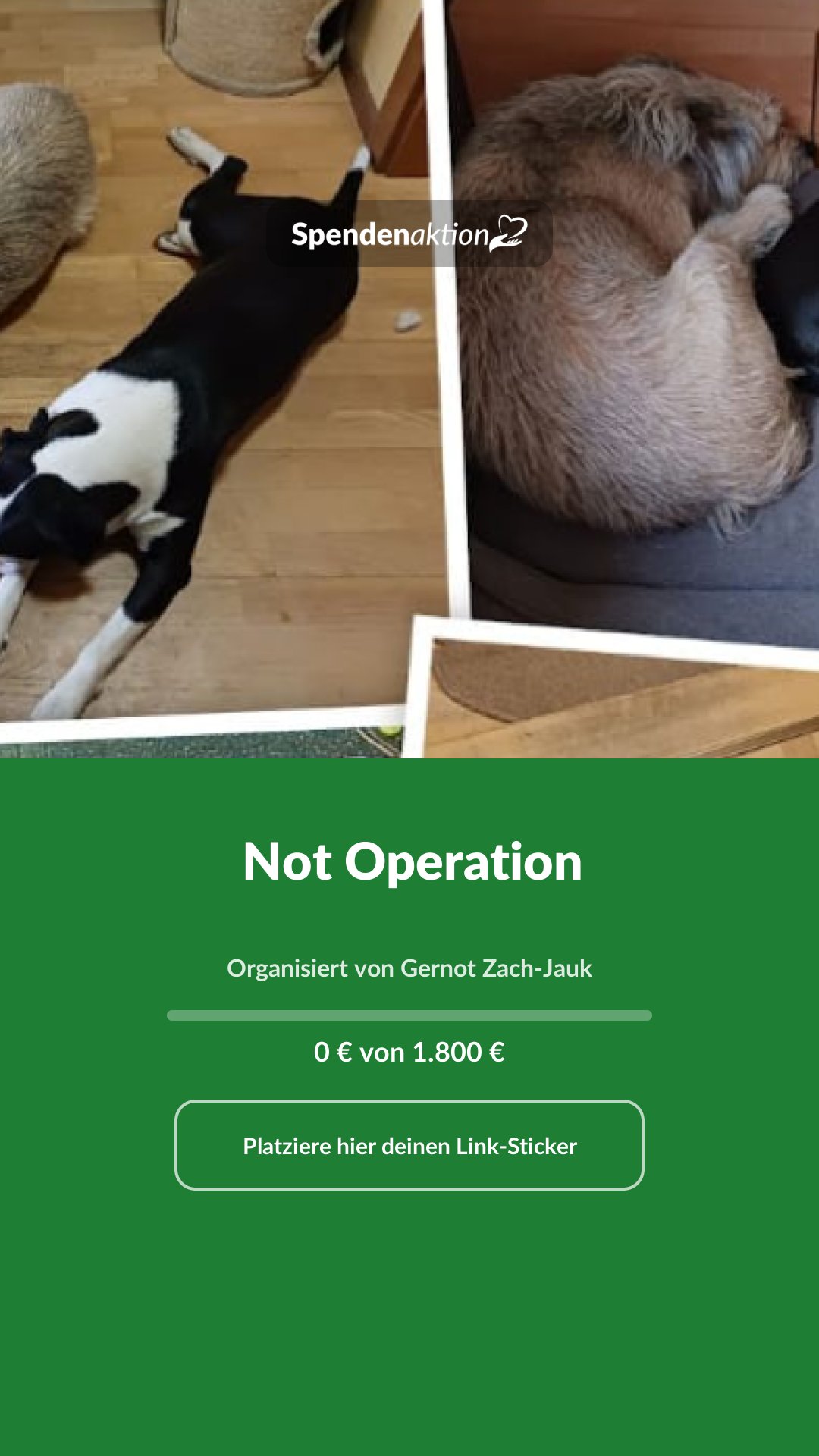 Vorschau des Bildes