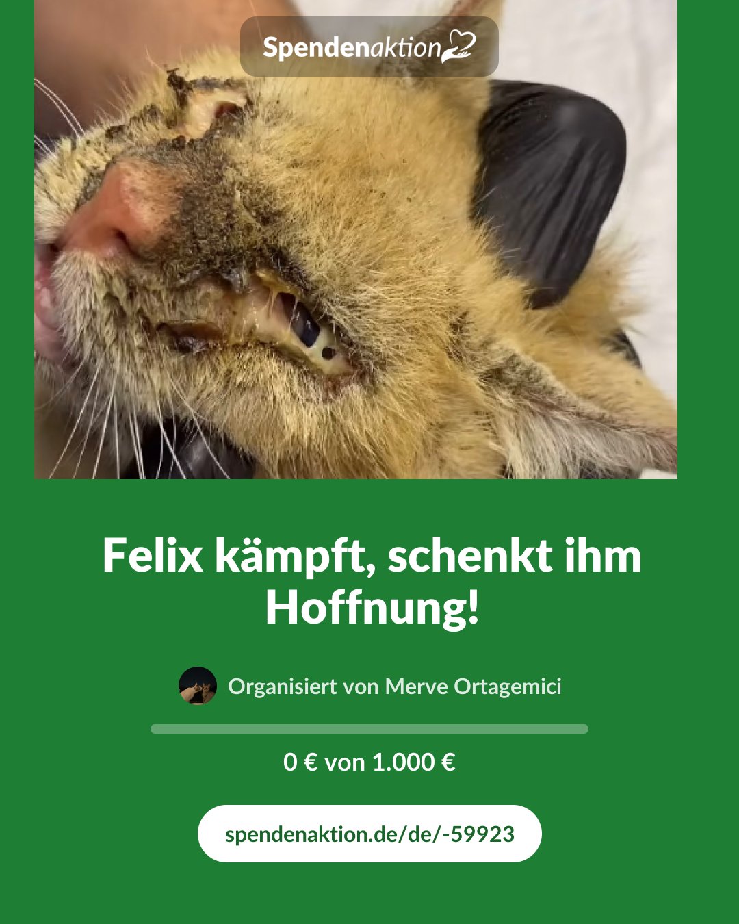 Vorschau des Bildes