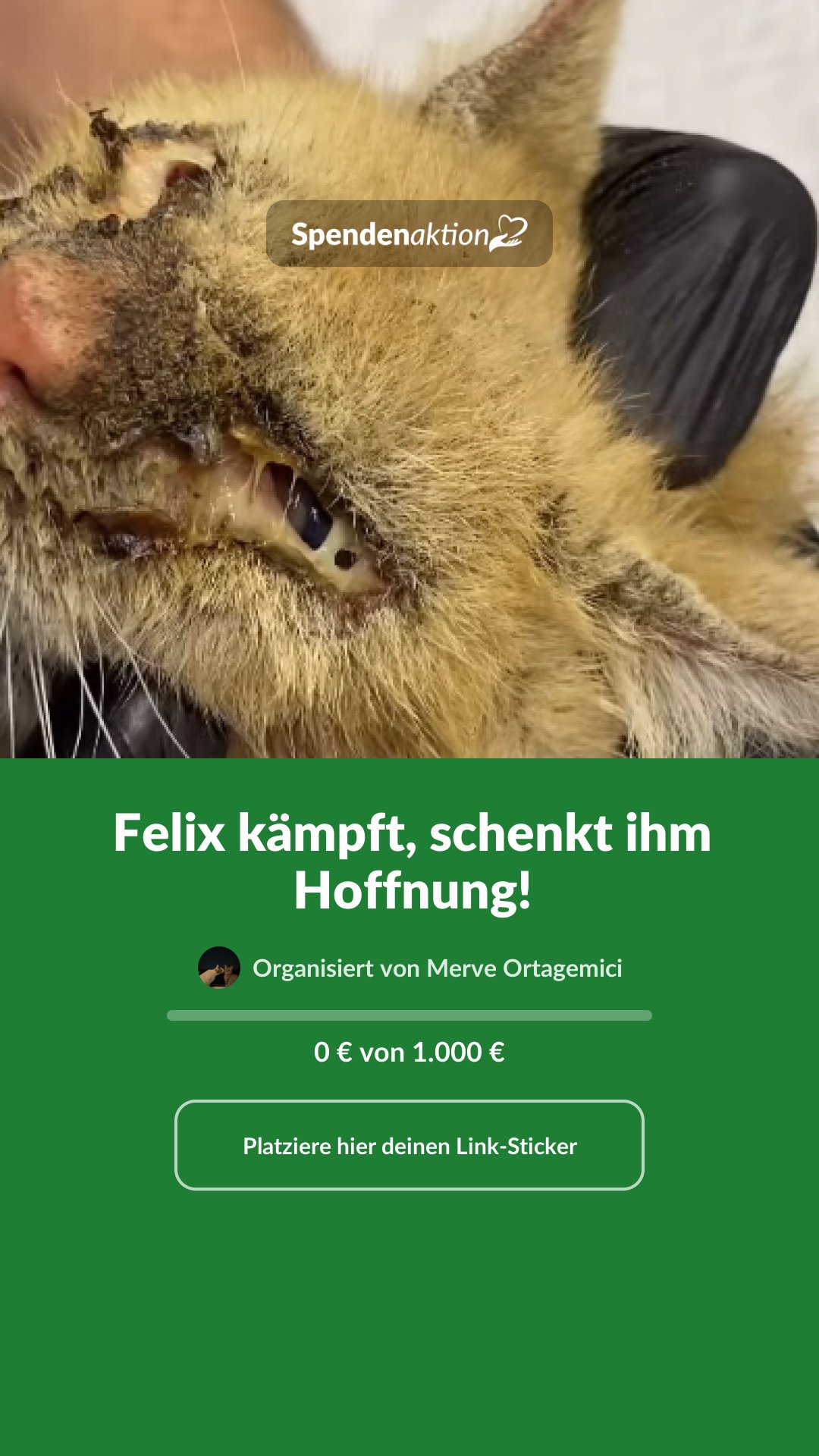 Vorschau des Bildes