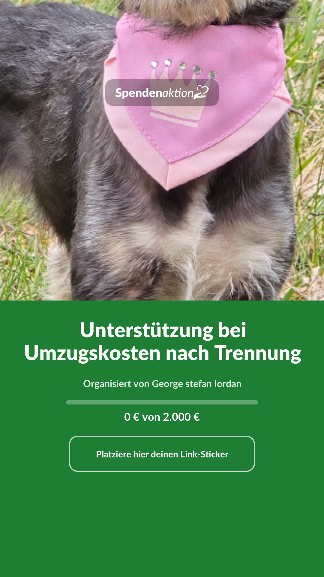Vorschau des Bildes