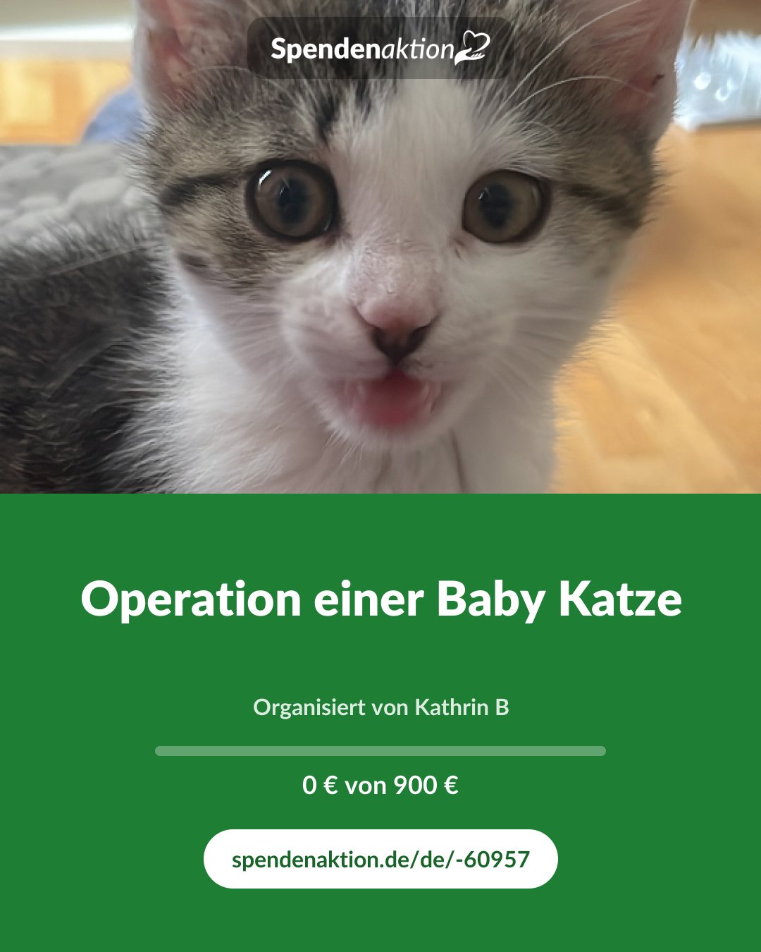 Vorschau des Bildes