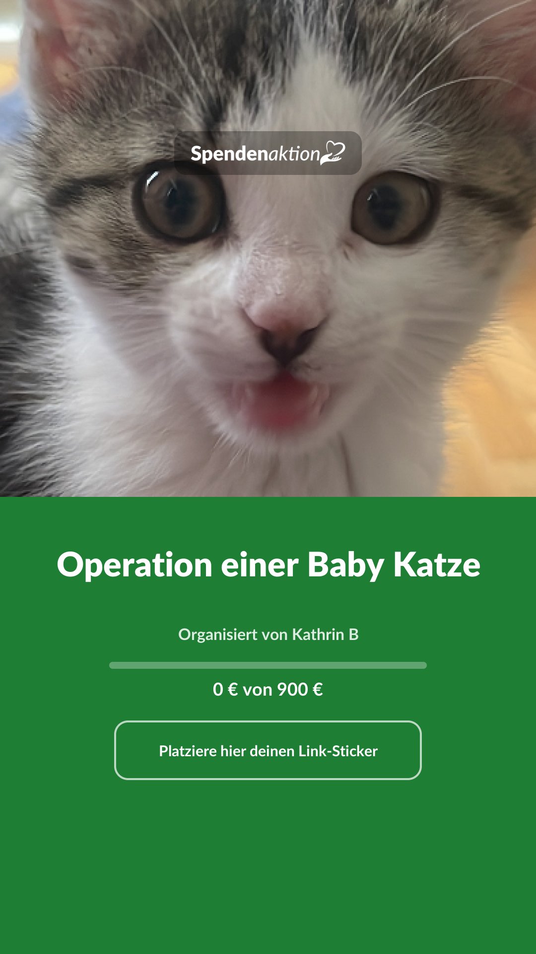 Vorschau des Bildes