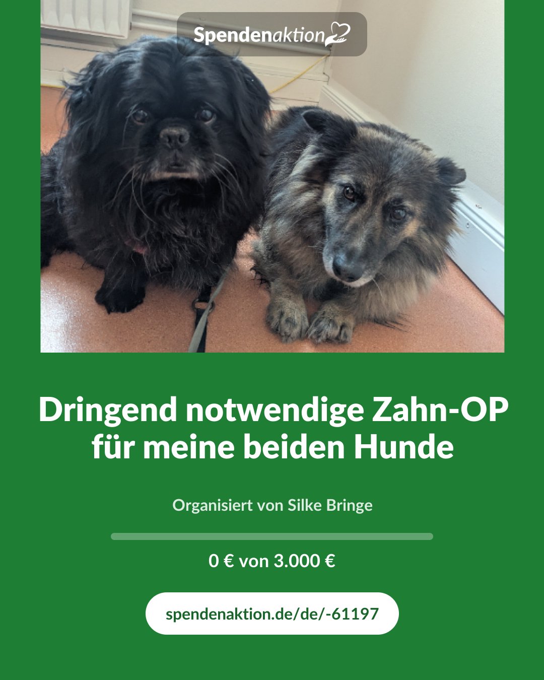 Vorschau des Bildes