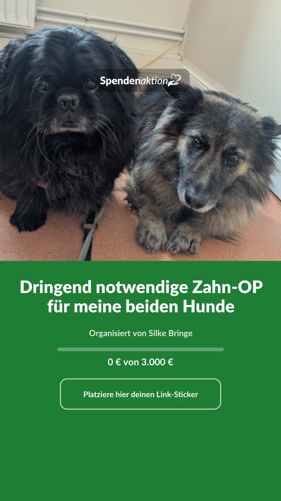 Vorschau des Bildes