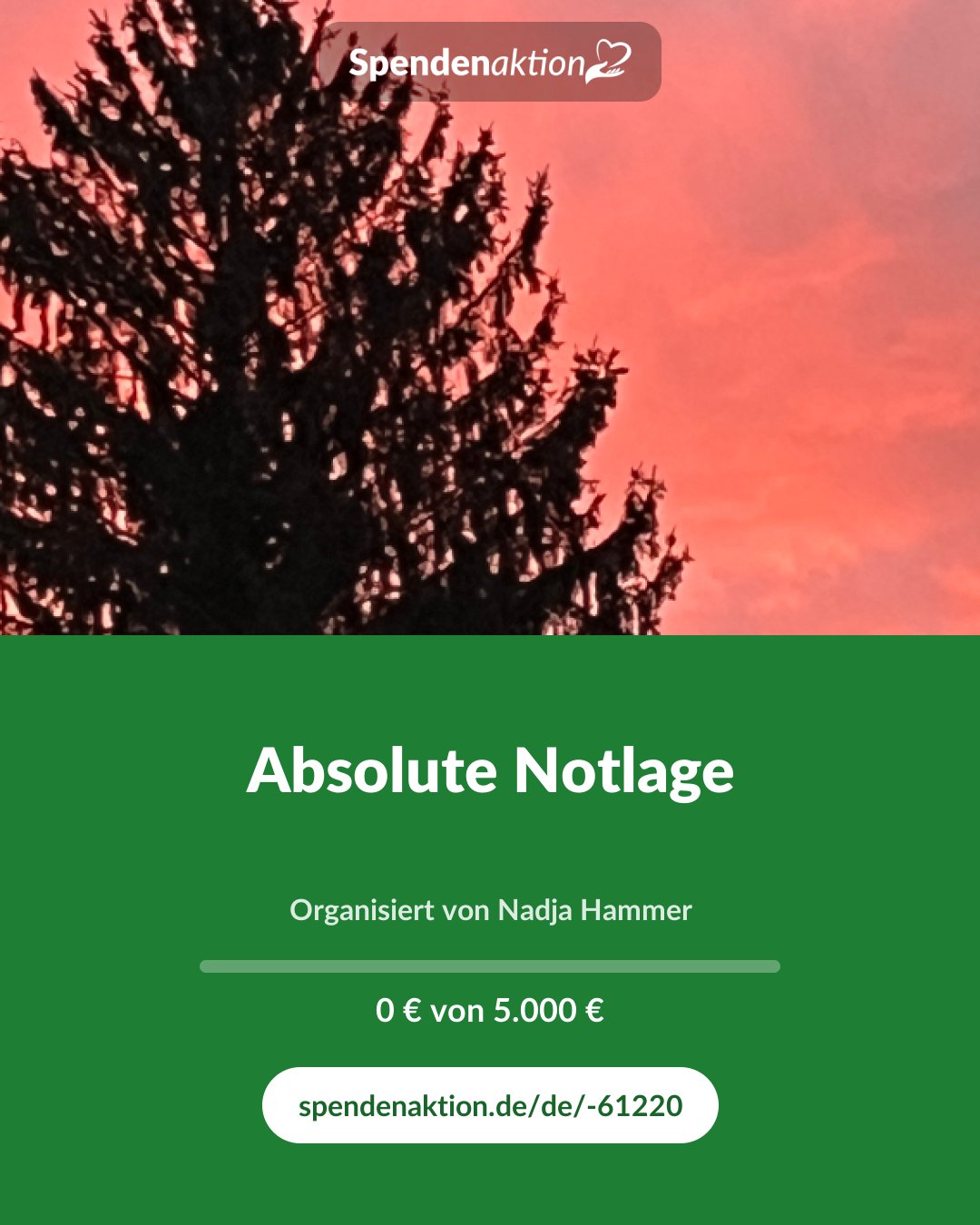 Vorschau des Bildes