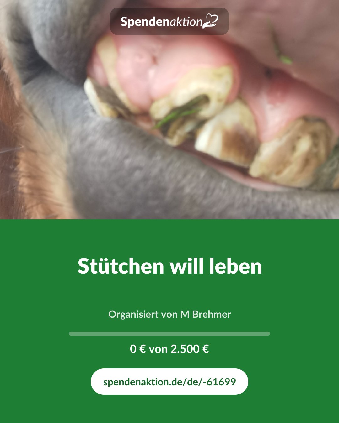 Vorschau des Bildes