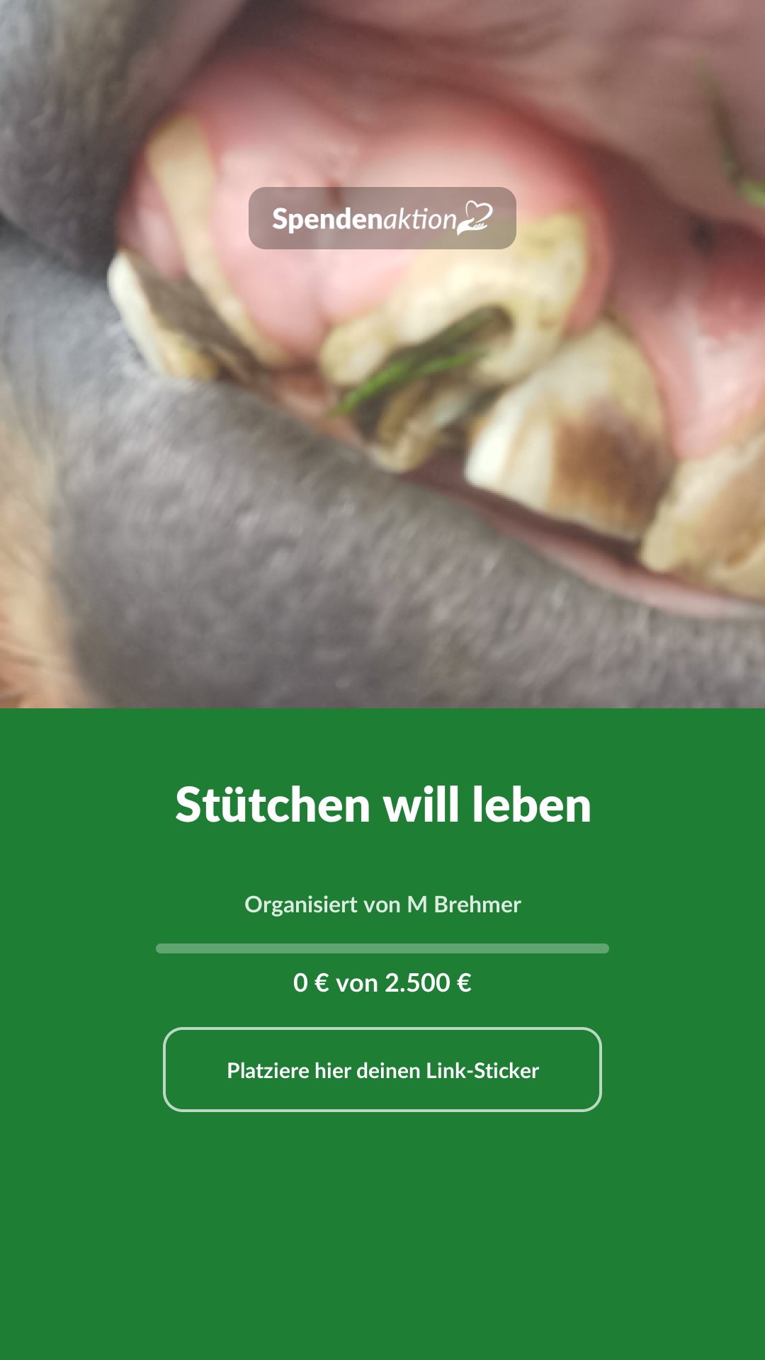 Vorschau des Bildes