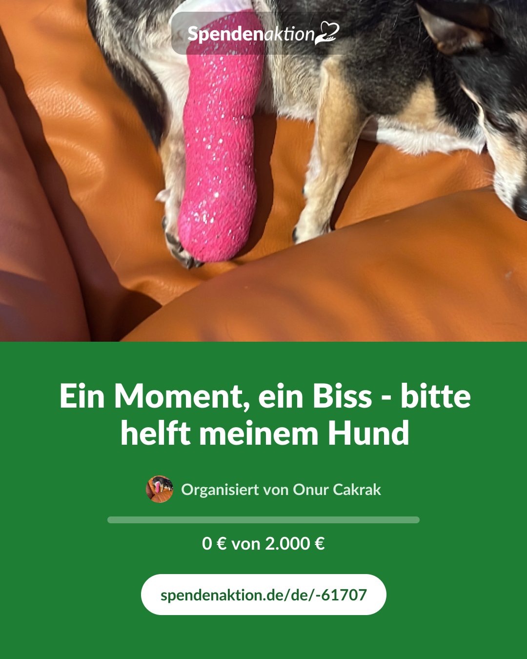 Vorschau des Bildes