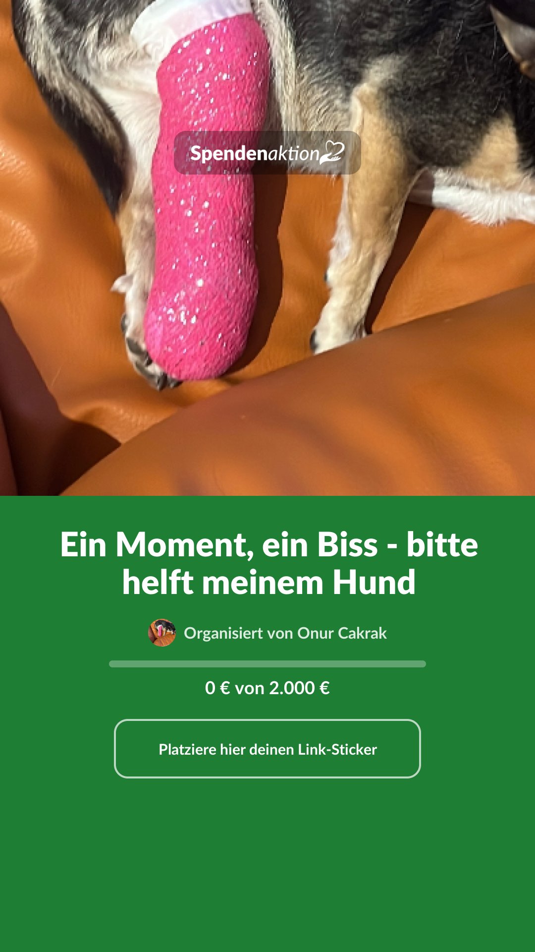Vorschau des Bildes