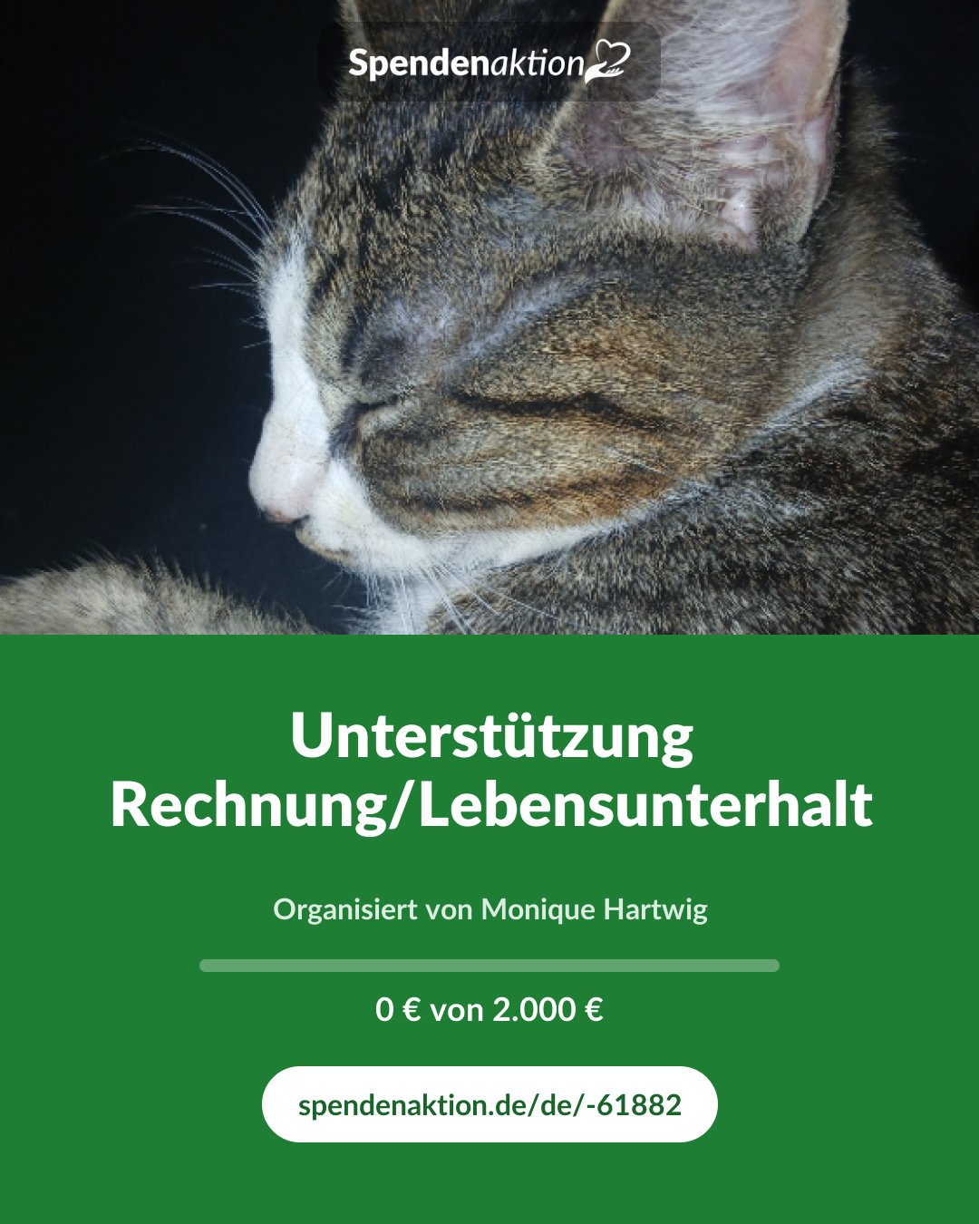 Vorschau des Bildes