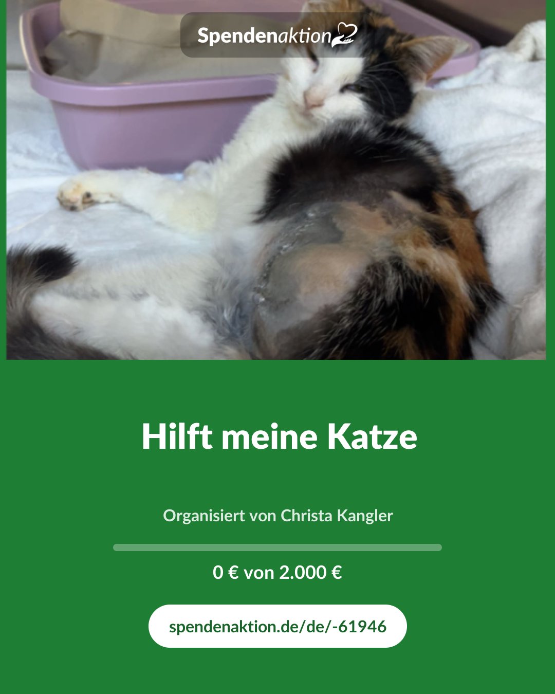 Vorschau des Bildes