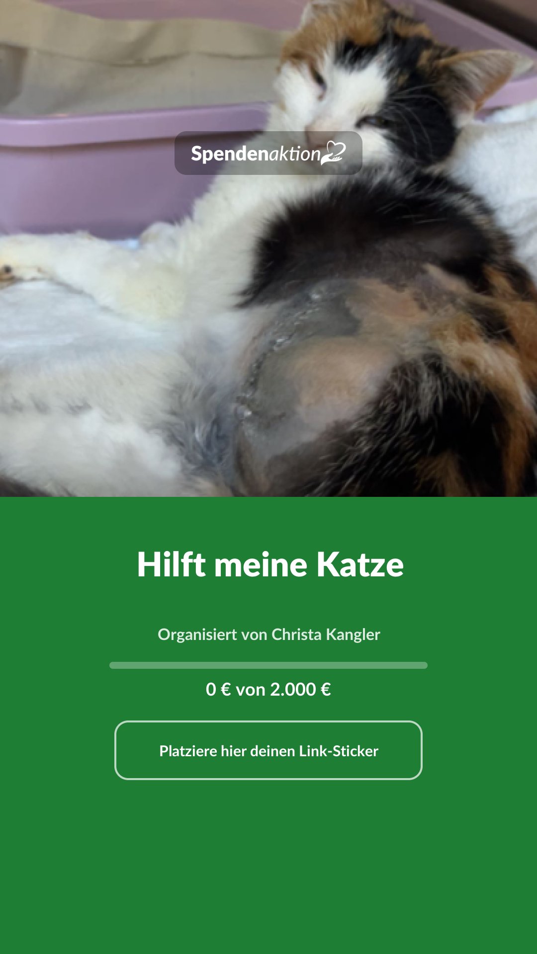 Vorschau des Bildes