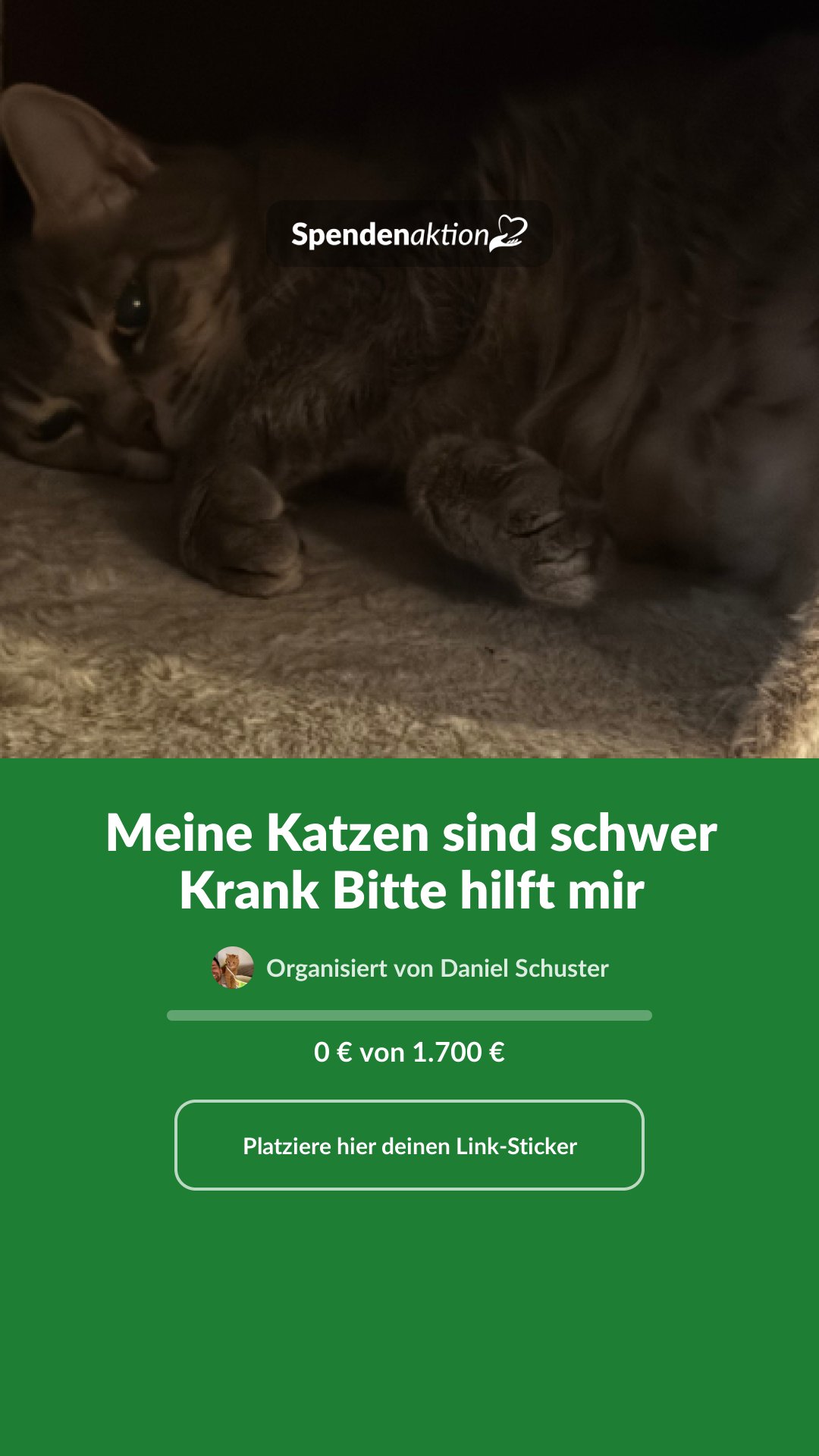 Vorschau des Bildes