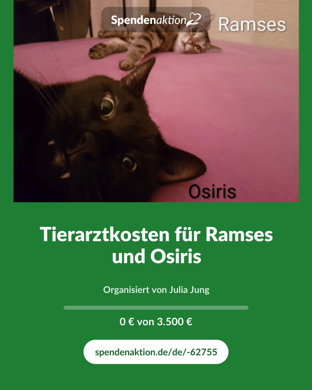 Vorschau des Bildes