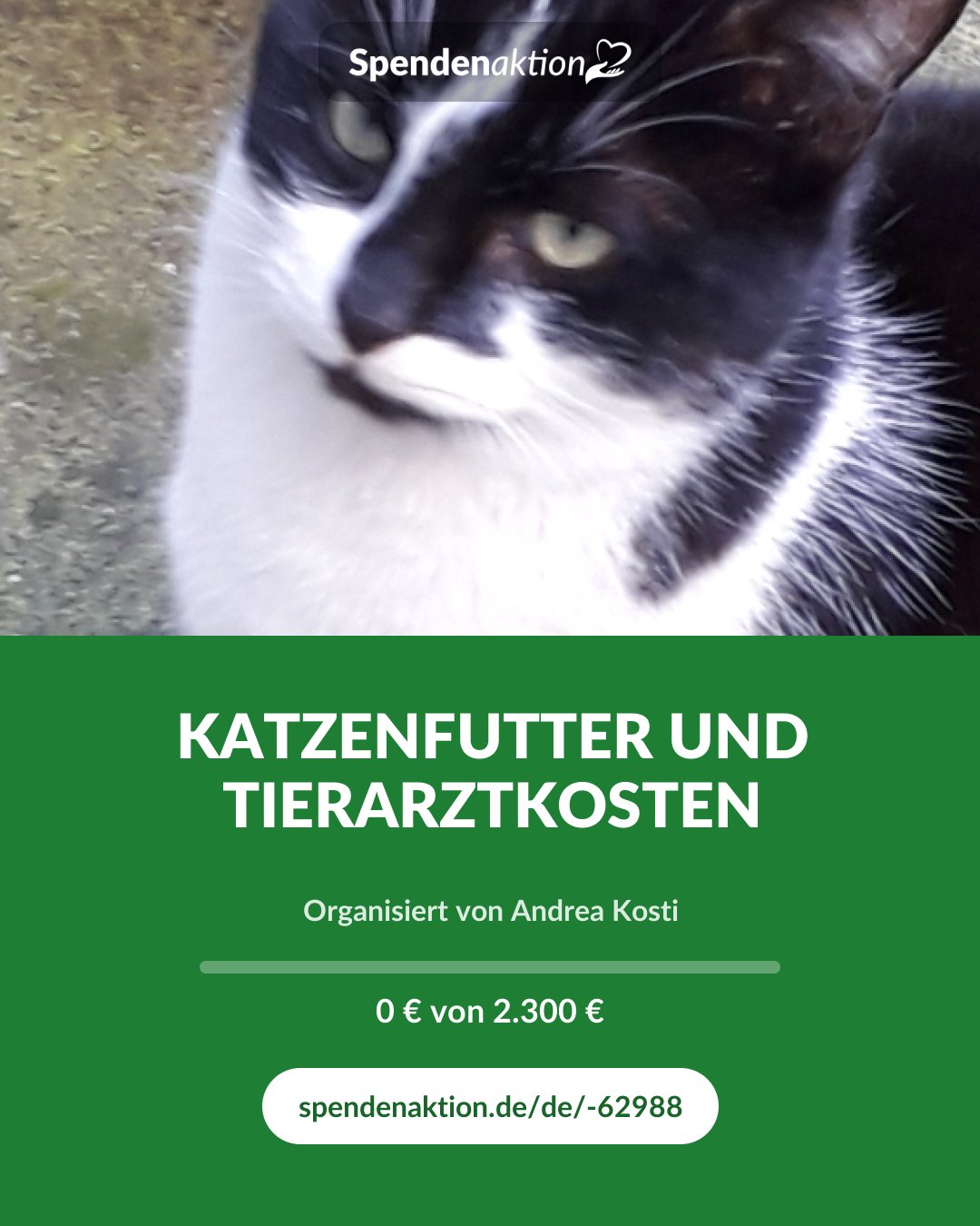 Vorschau des Bildes