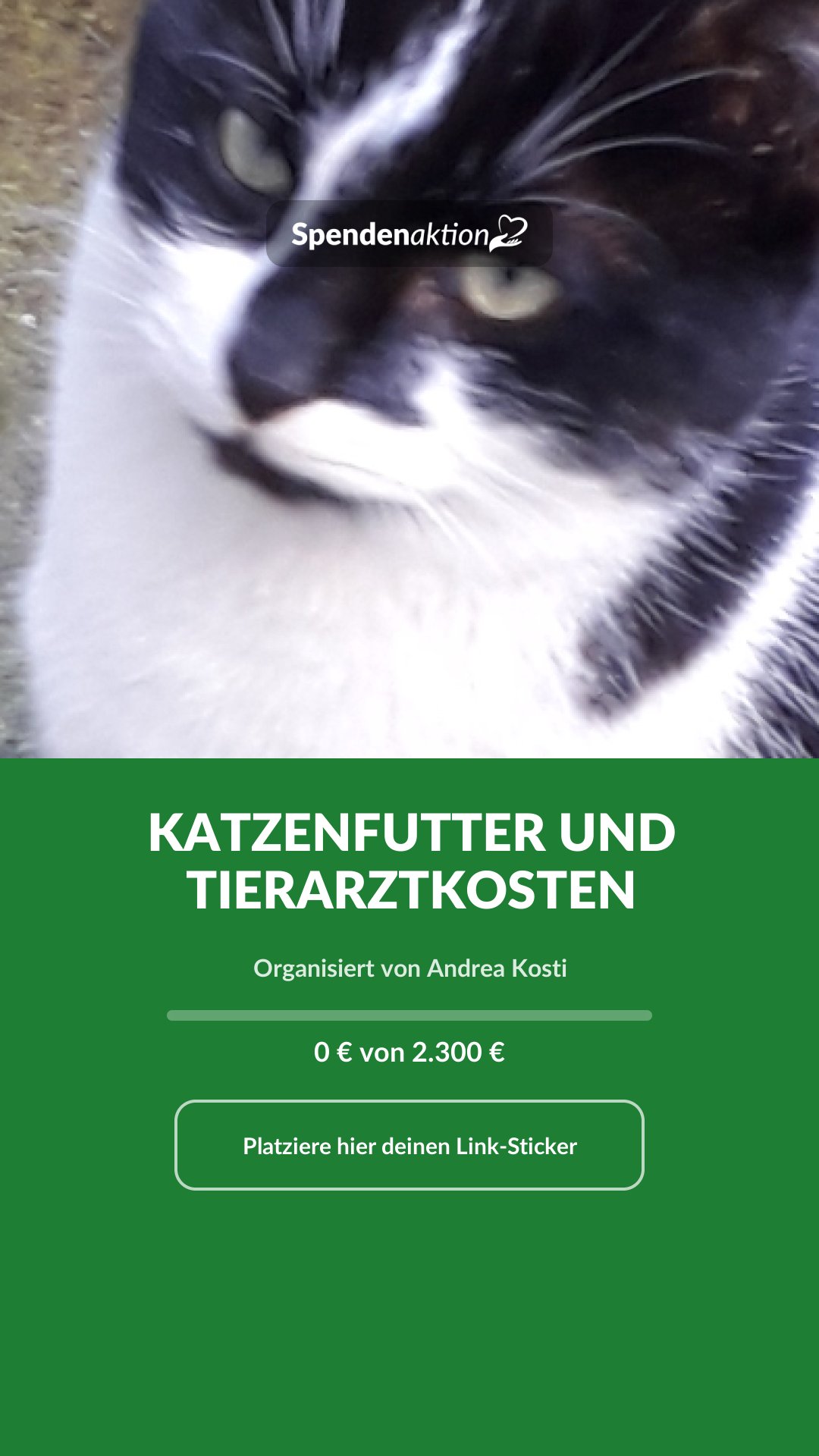 Vorschau des Bildes