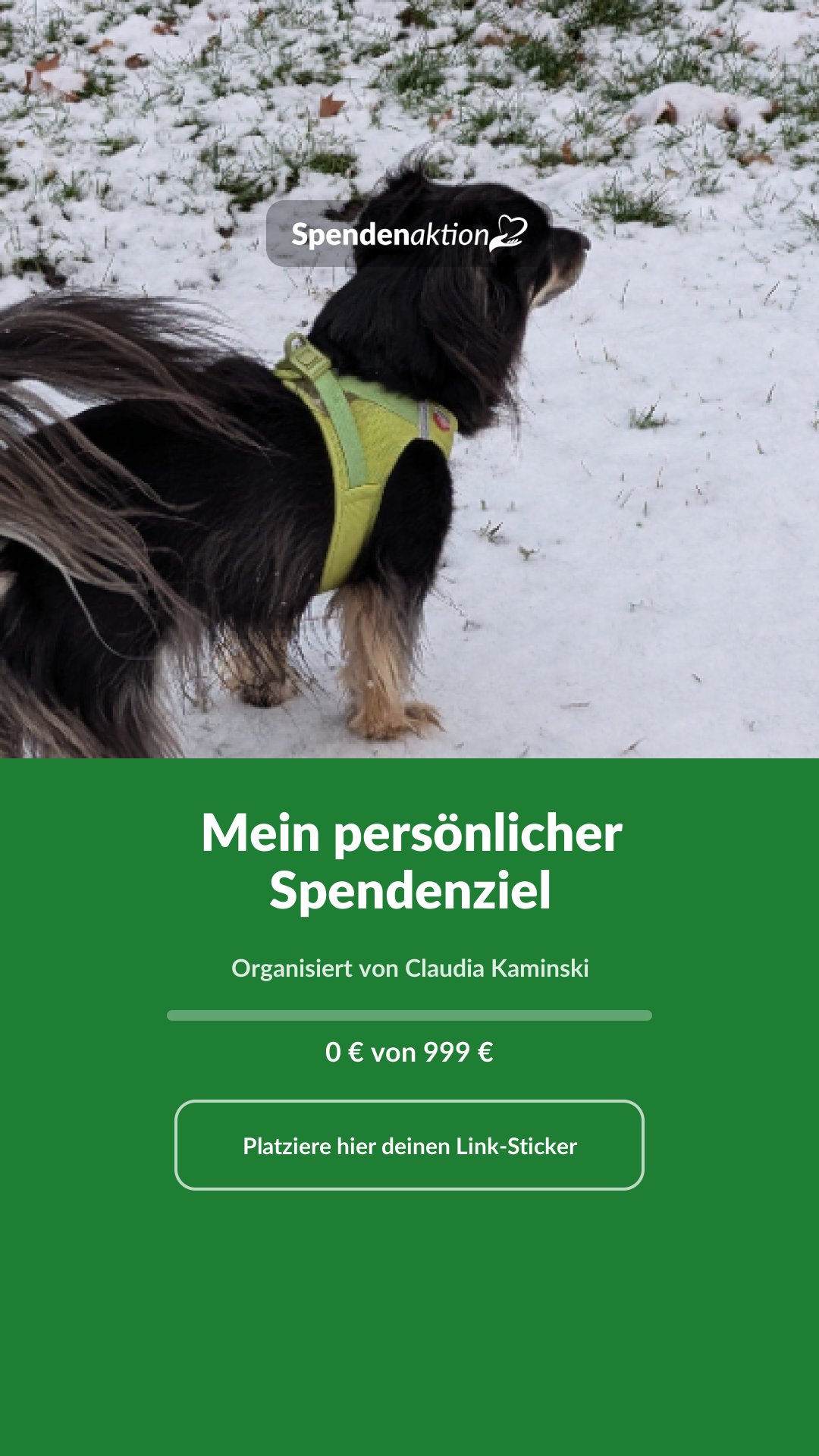 Vorschau des Bildes