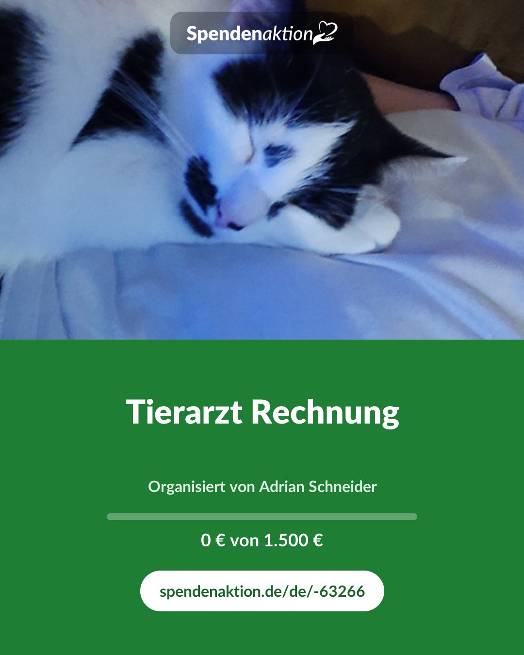 Vorschau des Bildes