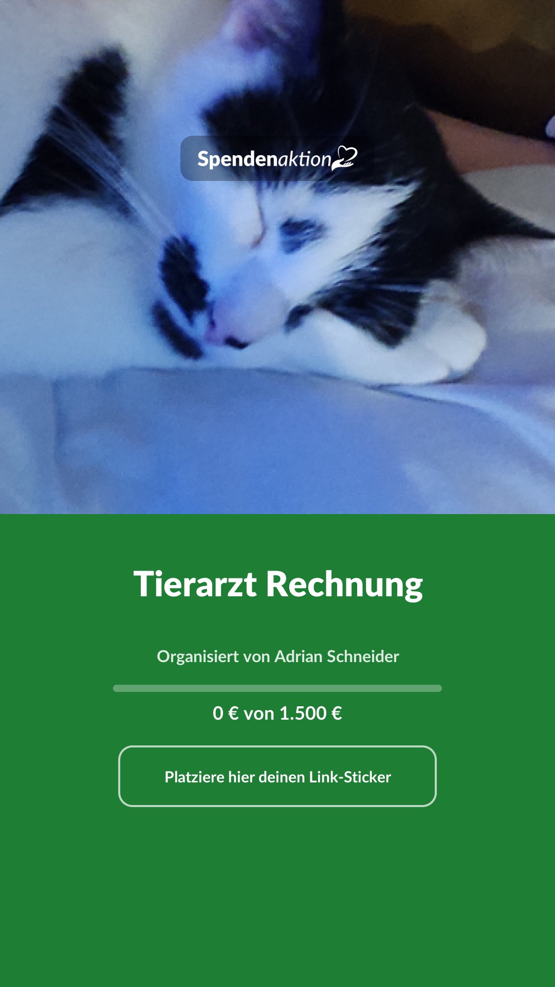 Vorschau des Bildes