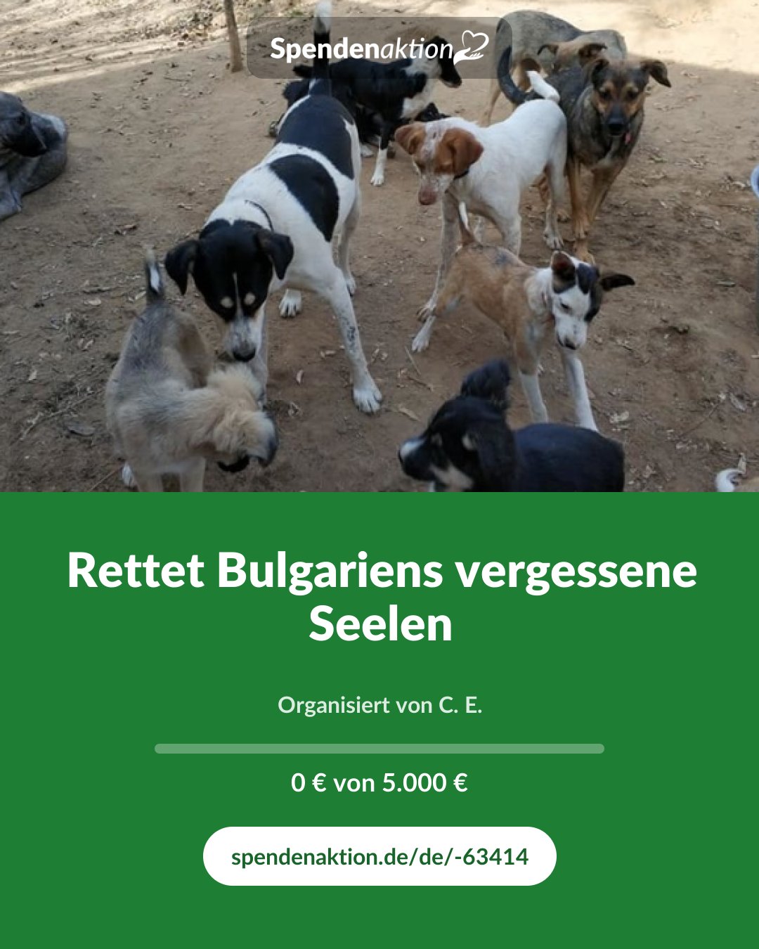 Vorschau des Bildes