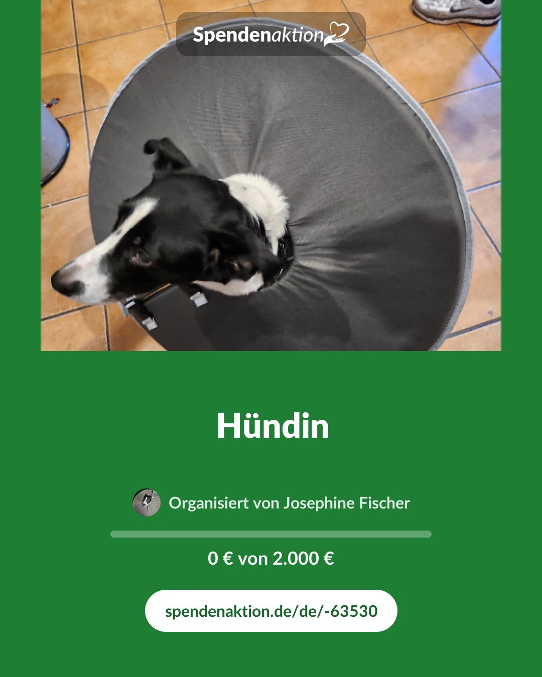 Vorschau des Bildes