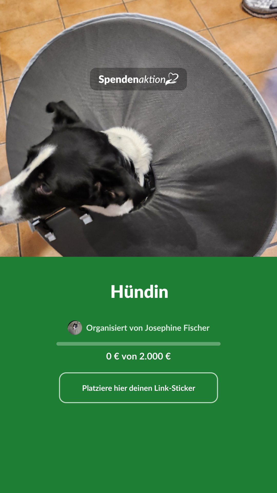 Vorschau des Bildes